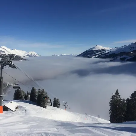 Aloa By Interhome Daire Adelboden