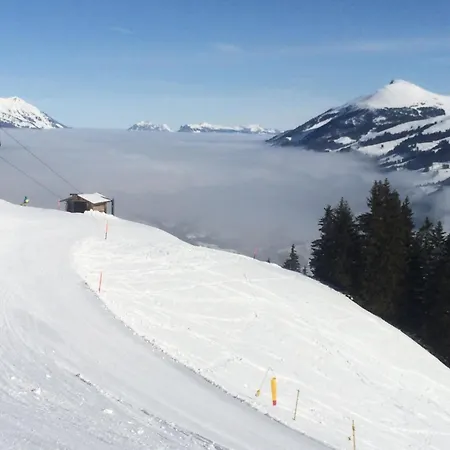 Apartment Aloa By Interhome Adelboden