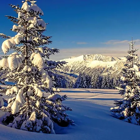 Apartment Aloa By Interhome *