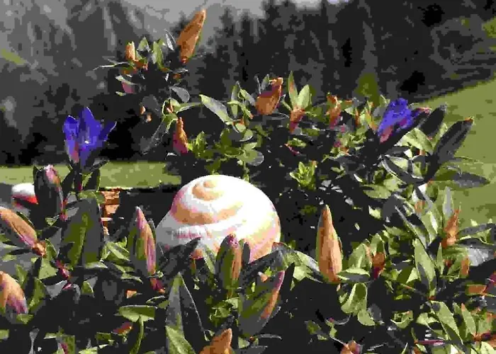 דירה Aloa By Interhome *