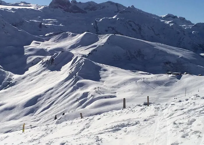 Aloa By Interhome דירה אדלבודן