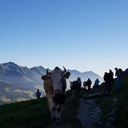 Apartamento Aloa By Interhome Adelboden