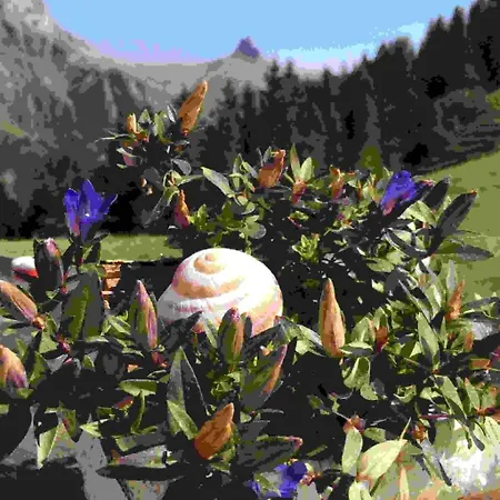 Apartamento Aloa By Interhome *