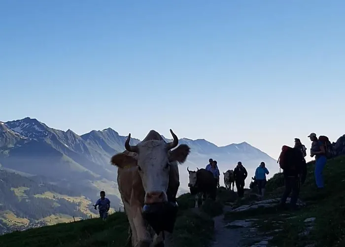 شقة Aloa By Interhome ادلبودن